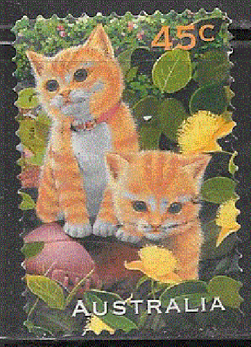 Australie  - YT  1550  obl - Chats (1996)