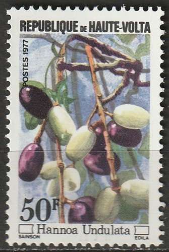 Timbre neuf ** n° 423(Yvert) Haute-Volta 1977 - Fleurs sauvages