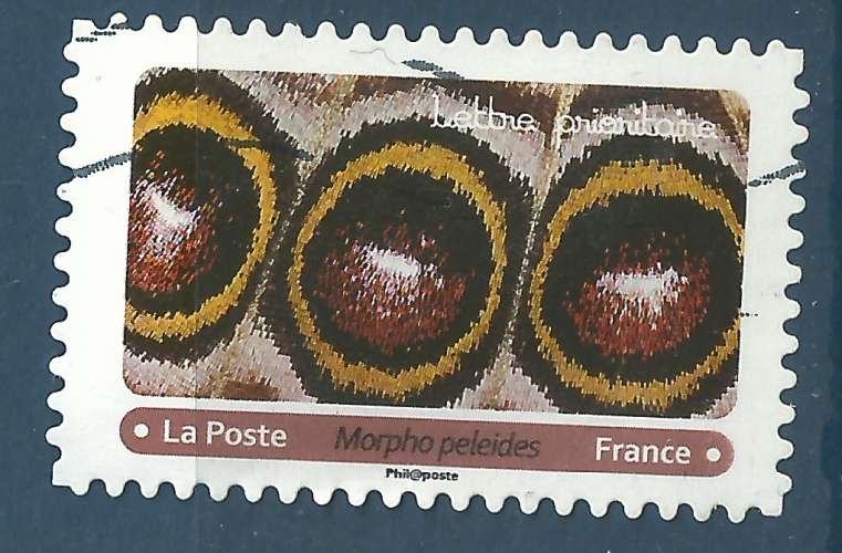 YT 1812 autocollant - Aile de papillon morpho peleides