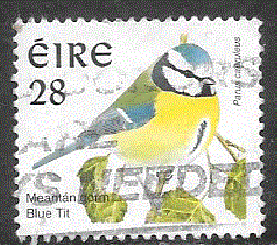 Irlande  - YT  979  obl - Mésange bleue (1997)