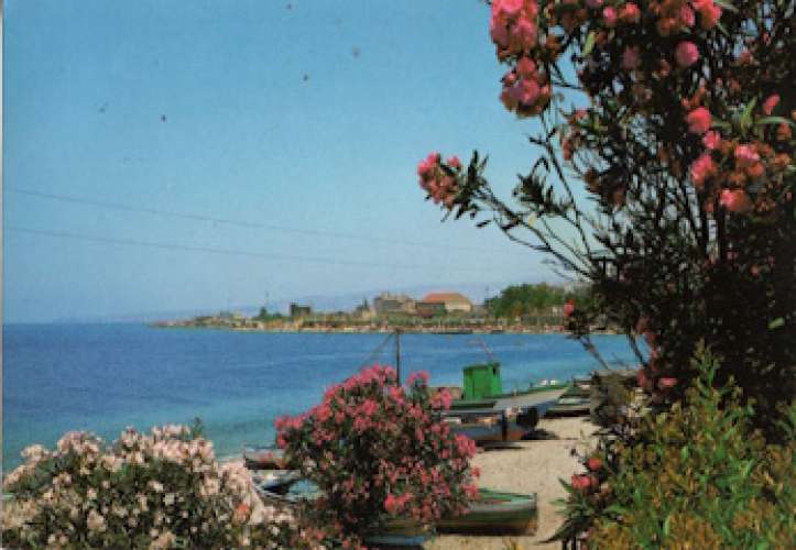 Reggio Calabria (Calabre), CPM, le rivage