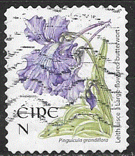 Irlande  - YT  1756  obl - Grassette (2007)