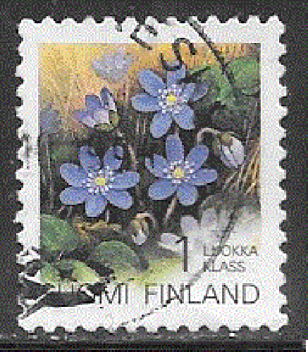 Finlande  - YT  1130 obl - Fleurs champêtres (1992)