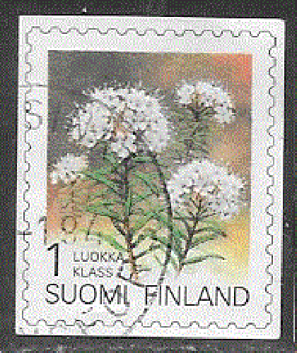 Finlande  - YT  1183 obl - Lède des marais (1993)