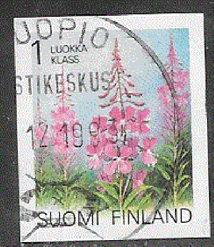 Finlande  - YT  1155 obl - Epilobe augustifolié (1992)