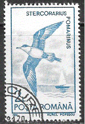 Roumanie  - YT  3924  obl - Labbe (1991)