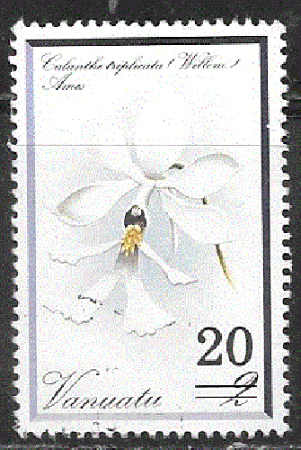 Vanuatu  - YT  686  obl - Orchidée ()