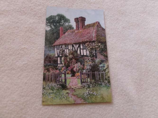 BELLE ILLUSTRATION VIVIAN MANNELL 
