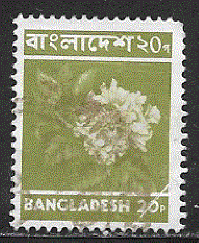 Bangladesh  - YT  65   obl  - Fleur; TRACE DE PLI  (1973)