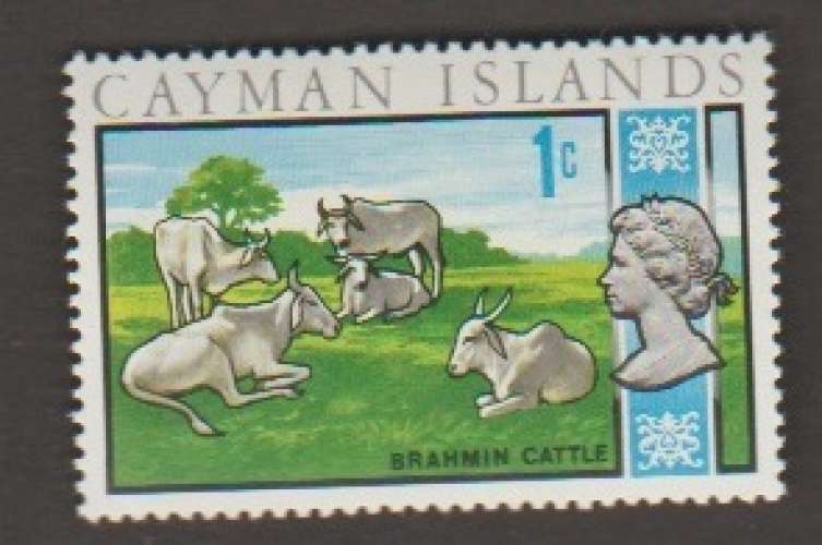 Cayman Islands - Scott 211