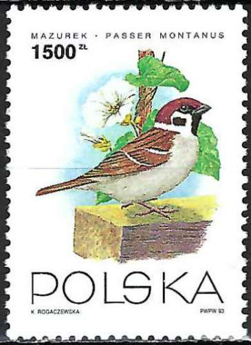 Pologne - 1993 - Y & T n° 3254 - MNH