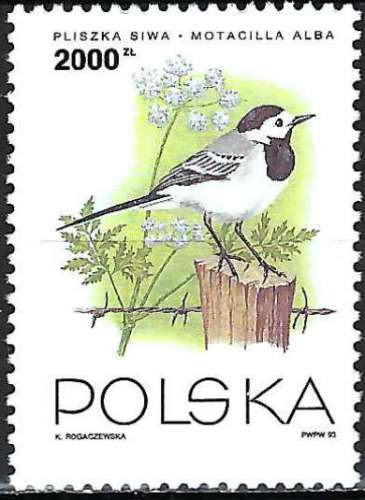 Pologne - 1993 - Y & T n° 3255 - MNH
