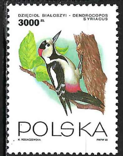 Pologne - 1993 - Y & T n° 3256 - MNH