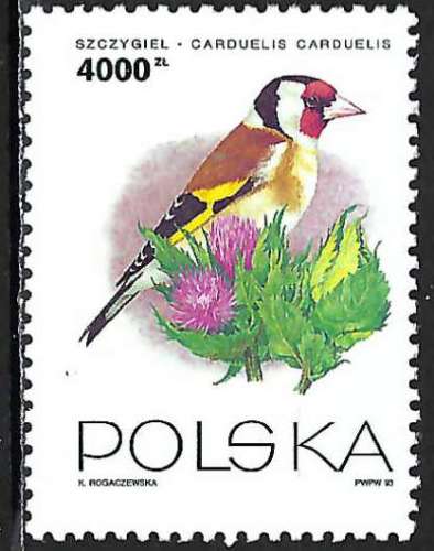 Pologne - 1993 - Y & T n° 3257 - MNH