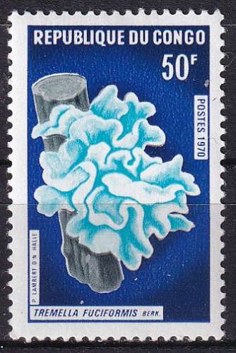congo ... n° 259  neuf** ... 1970