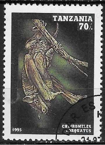 Tanzanie  1995 Y&T 1845    M 2086     SC 1396   GIB 