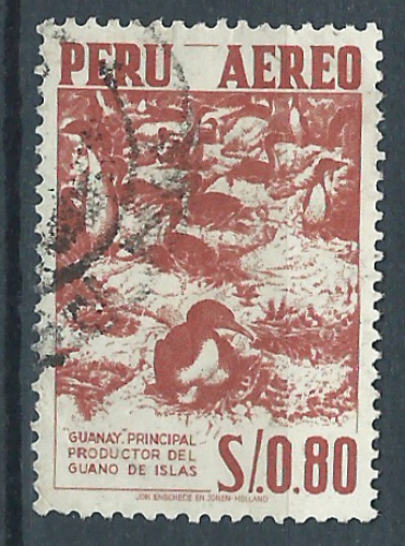 PEROU-OBL-1959-YT N°PA 152-Oiseaux