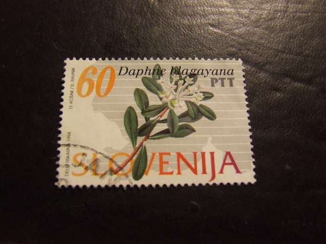 SLOVENIA 1994 FIORI 60 s USATO