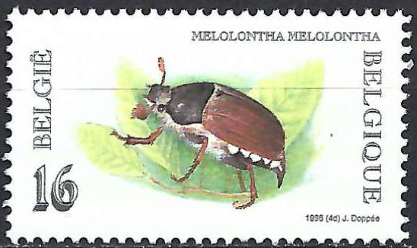 Belgique - 1996 - Y & T n° 2633 - MNH