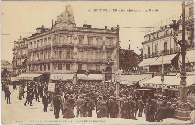 CPA - HERAULT - MONTPELLIER, Marché au Vin le Mardi (4)