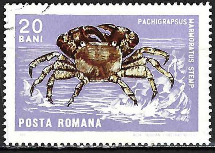 Roumanie - 1966 - Y & T n° 2242 - O.