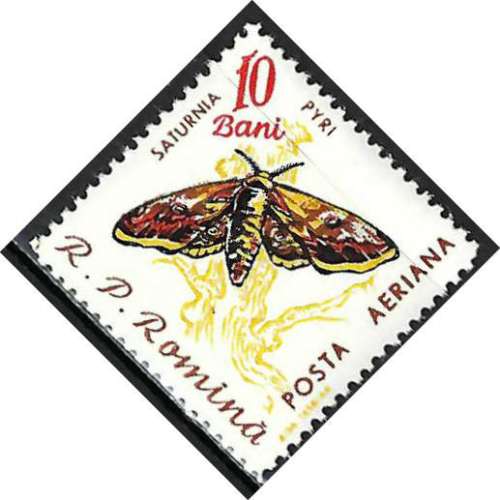 Roumanie - 1960 - Y & T n° 120 Poste aérienne - MNH