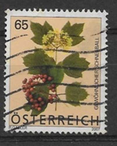 Autriche C oblitéré YT  2507