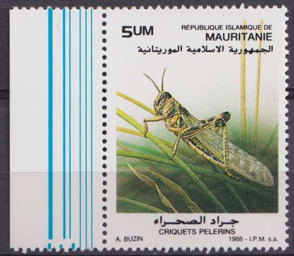 Mauritanie 1988 Y&T 621 neuf gomme mate - Criquets 