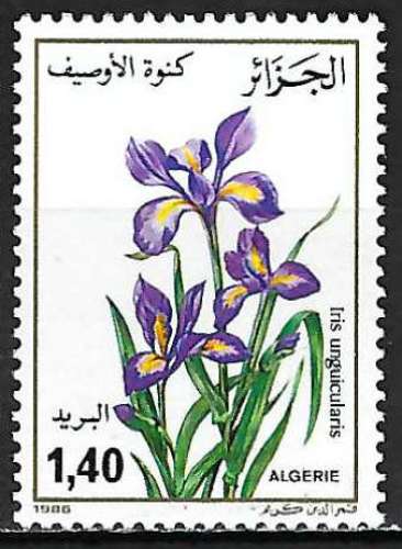 Algérie - 1986 - Y & T n° 883 - MNH