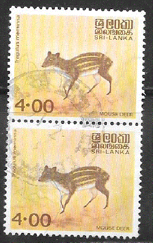 Sri-Lanka - YT  562C  obl - Chevrotain; paire verticale (1981)