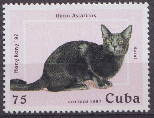 Cuba 1997 Y&T 3604 neuf gomme mate - Chats asiatiques 