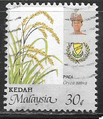Malaisie- Kedah - YT  ?  obl- Riz, dentelure large (1986)