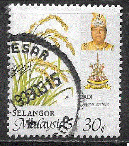 Malaisie- Selangor - YT  ?  obl- dentelure fine (1986)