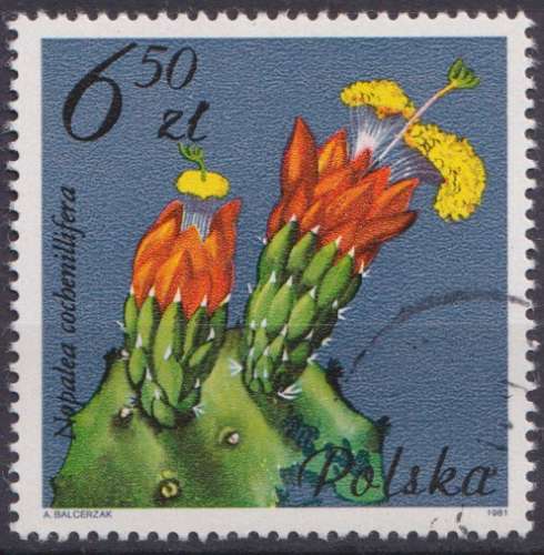 Pologne 1981 Y&T 2604 oblitéré - Fleurs de cactus 