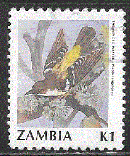 Zambie - YT  511 ou 531 ?  obl- Oiseau (1990)