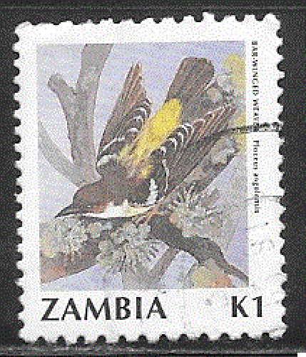 Zambie - YT  511 ou 531 ?  obl- Oiseau (1990)