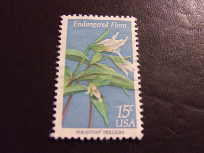 USA 1979 FIORI 15 c USATO