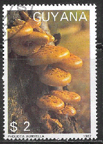 Guyana - YT  1769MG  obl - Champignons (1987)