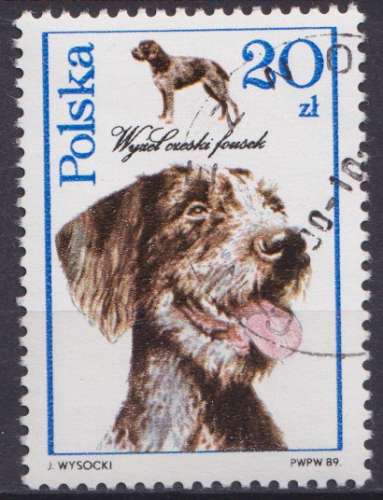 Pologne 1989 Y&T 3005 oblitéré - Chiens de chasse 
