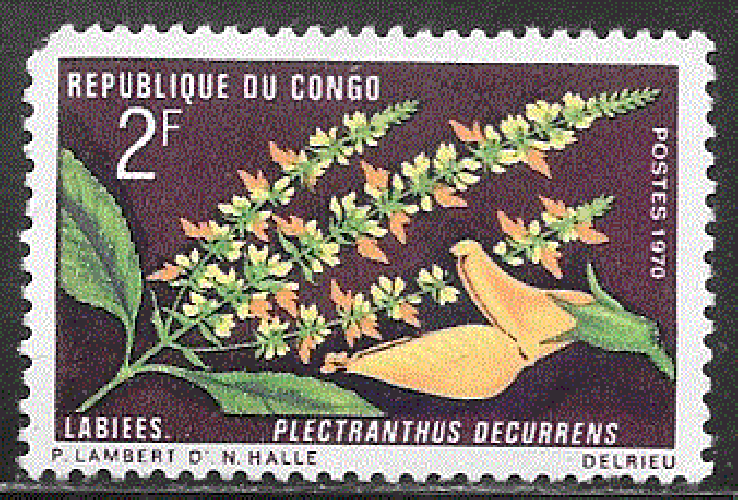 Congo - YT  269  ** - ATTENTION, dent courte angle sup gauche (1970)