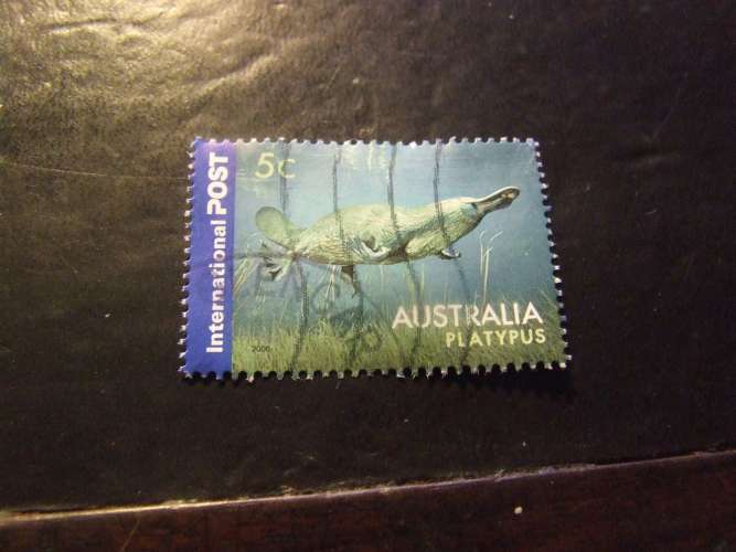 AUSTRALIA 2006 FAUNA 5 c USATO