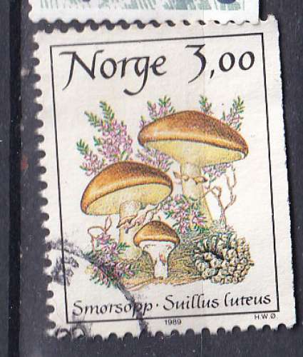 NORVEGE - 1989 - Champignons - Yvert 967 Oblitéré