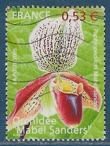 N°3763 Orchidée Mabel Sanders oblitéré