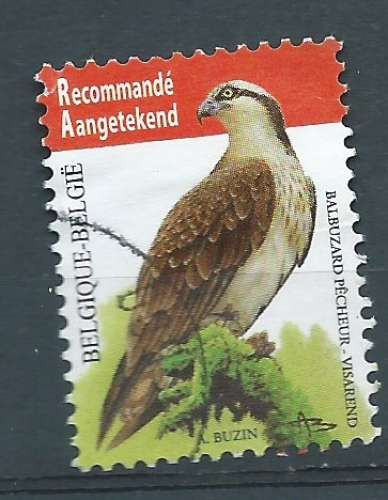 BELGIQUE-OBL-2011-YT N°4071-Balbuzard pêcheur