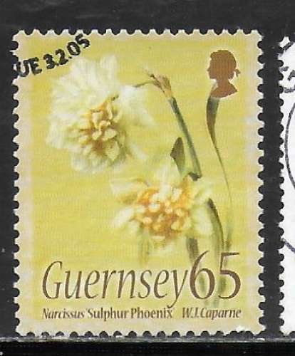 Guernesey - Y&T n° 1048 - Oblitéré / Used - 2005