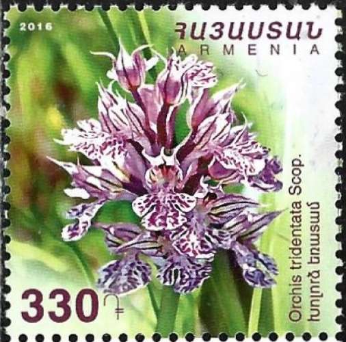Arménie - 2016 - Y&T 866 ** - MNH