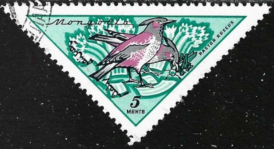 Mongolie - 1961 - Y&T 184 obt - cancelled - used