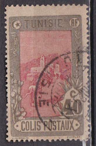 TUNISIE CP N° 5 de 1906 oblitéré