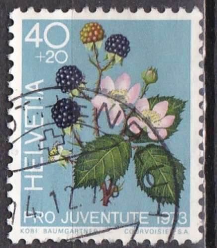 SUISSE N° 945 de 1973 oblitéré
