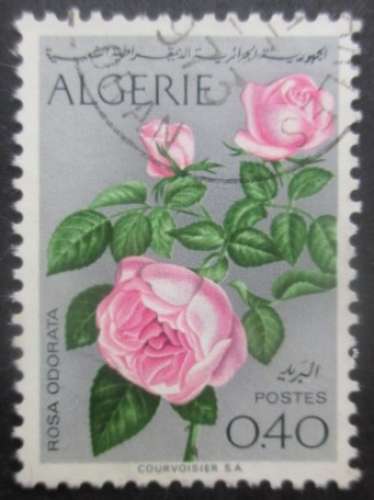 ALGERIE N°569 Fleurs oblitéré